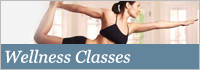 Wellness Classes